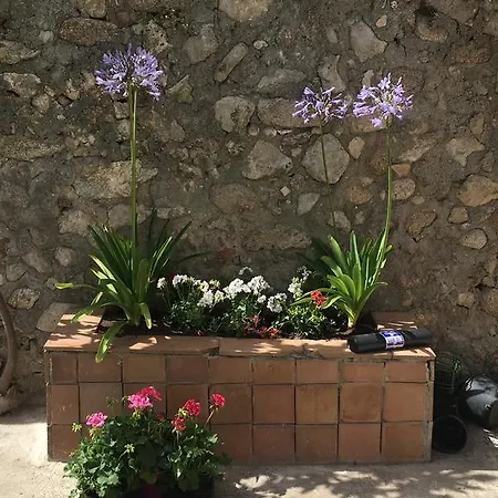 In Centro E Sul Mare Апартаменты Тропея